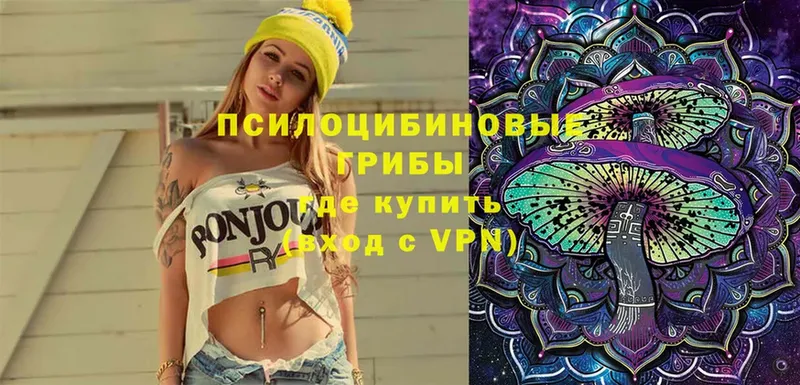 Галлюциногенные грибы Psilocybe  Нахабино 